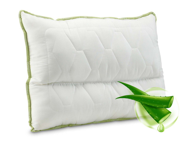 Aloe Vera w poduszce ergonomicznej 50x70