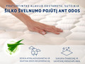 Dormeo Aloe Vera čiužinys