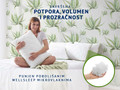 Dormeo klasični jastuk Aloe Vera 50x70 cm