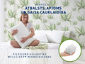 Dormeo klasiskais spilvens Aloe Vera, 50x70 cm