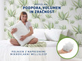 Klasični vzglavnik Aloe Vera 50x70 cm