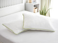 2x Dormeo perna clasica Aloe Vera JC5 50x70 cm