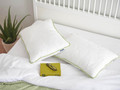 3 x Dormeo perna clasica Aloe Vera 50X70 cm