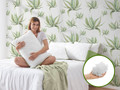 2x Dormeo perna clasica Aloe Vera JC5 50x70 cm