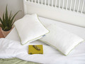 2x Dormeo perna clasica Aloe Vera JC5 50x70 cm