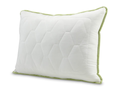 Dormeo perna Clasica Aloe Vera (50x70 cm) + Pilota Aloe Vera (140x200 cm)