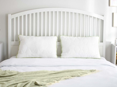 Klasyczna poduszka Aloe Vera II 50x70 cm