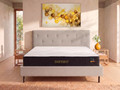 Madrats Dormeo iMemory S+ Silver Propolis 25 cm