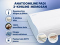 Anatoomiline padi 3-kihiline V3 Memosan Dormeo