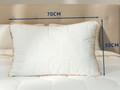 Perna bumbac Dream Cotton, 50x70 cm