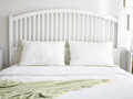 Aloe Vera párna 50x70 cm
