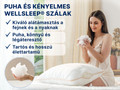 Dormeo Dream pamut párna klasszikus Jc 50x70