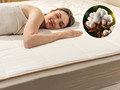 Protecție saltea din bumbac Dormeo Dream Cotton