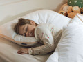 2x Dormeo Dream Cotton pillow classic