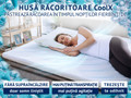 Topper 5 cm Aloe Vera Vitalis 2în1