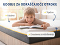 Ležišče Dormeo Essential