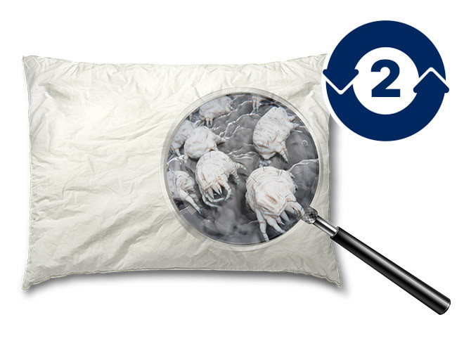 Replace your pillow every 2 years