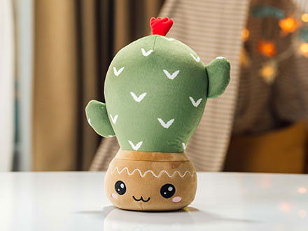 Perna Jucarie Cactus de la Dormeo