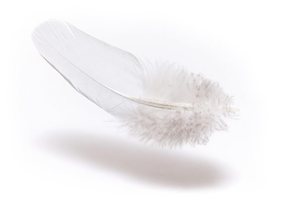 Dormeo Aloe Vera jorgan – prirodna mekoća i zaštita kože