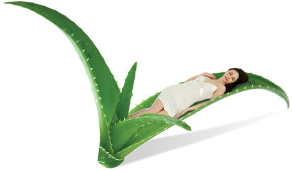 Zalety kołdry letniej Dormeo Aloe Vera Light