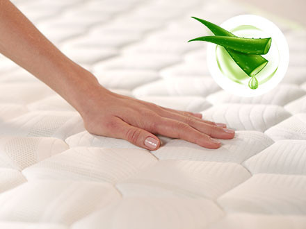 Navlaka obogaćena aloe verom