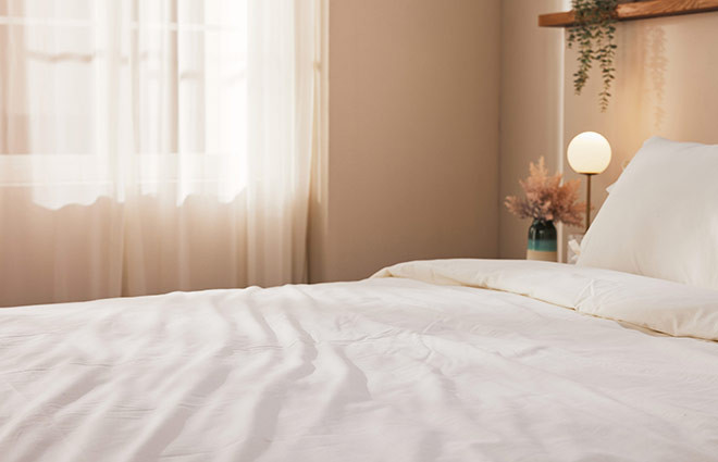 Dormeo Essentials 2in1 Blanket Dormeo Essentials 2in1 Blanket