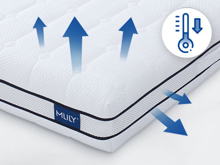 MLILY® Dreams Mattress